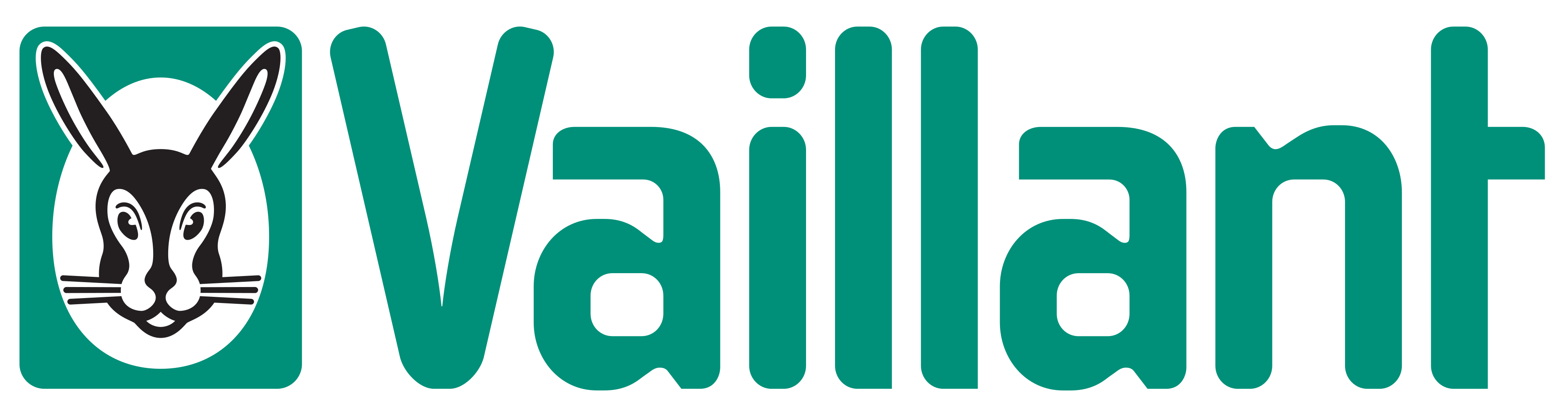 Vaillant Partner